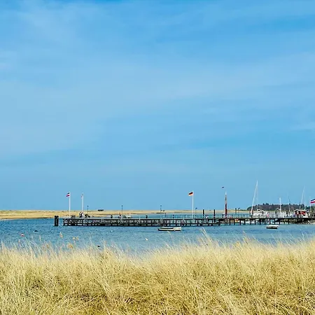 Strandhafer * Wendtorf