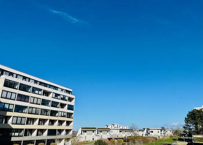 Strandhafer Wendtorf