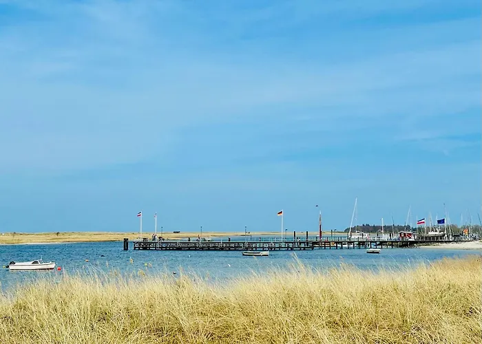 Strandhafer * Wendtorf